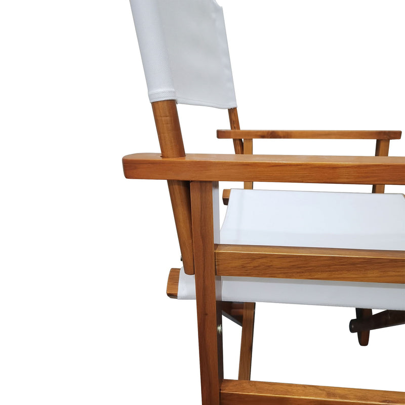 Folding Director Chair Canvas (Set of 2)