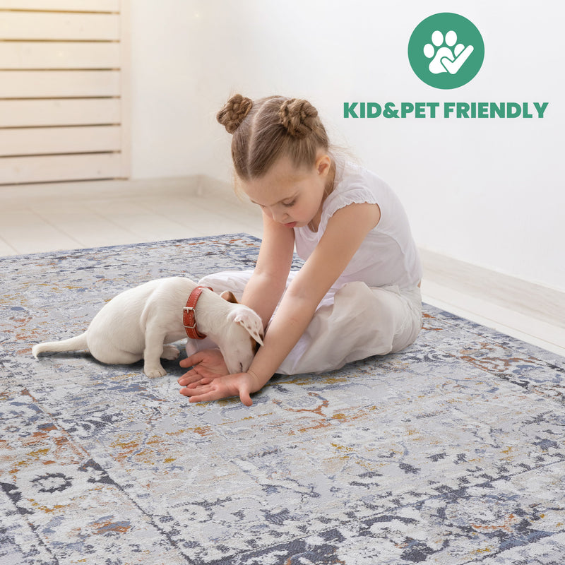 Traditional Non-Shedding Stain Resistant Area Rug