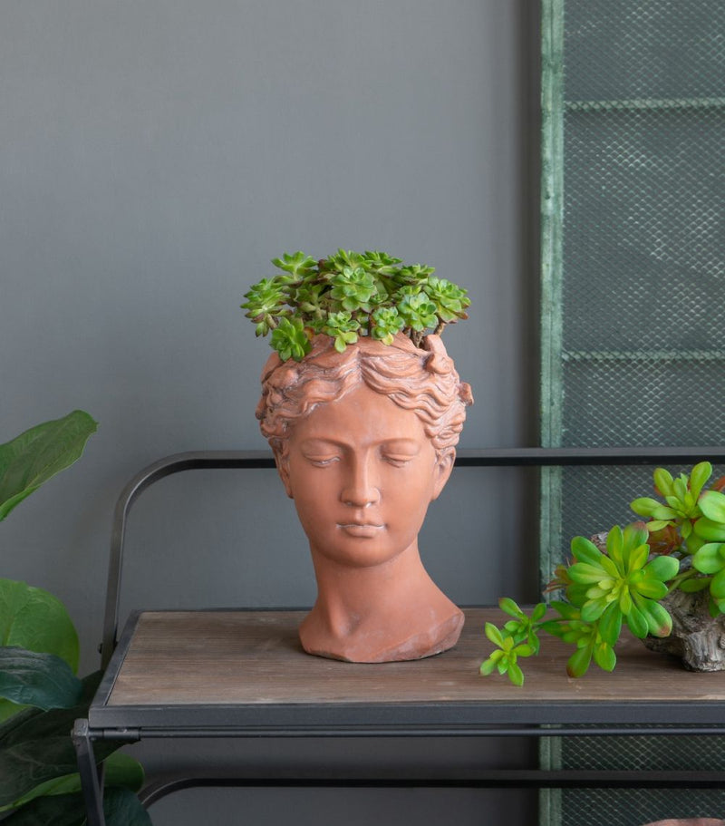 D7X11" Visage Head Bust Planter - Brown