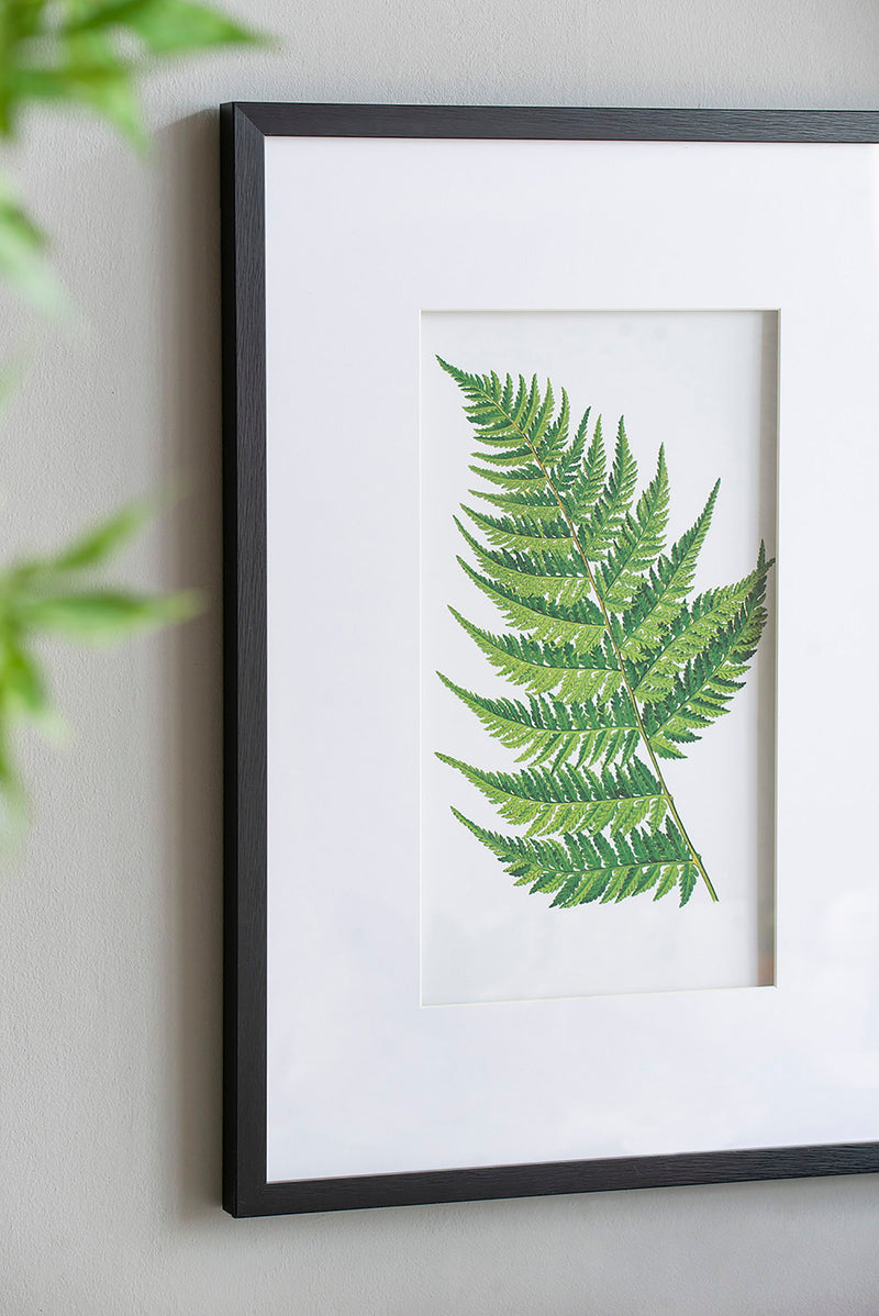 Botanical Fern Wall Art, Wall Decor For Living Room Dining Room Entryway (Set of 4) - Black / White