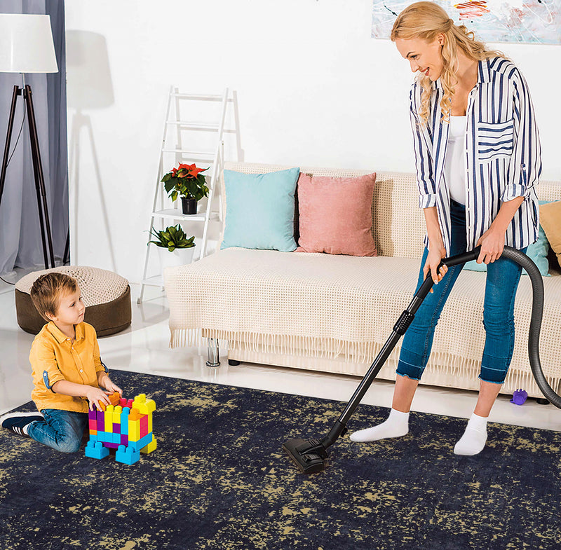 9' x 12' Area Rug For Dining Room, Washable Rug, Low-Pile, Non-Slip, Non-Shedding, Foldable, Kid & Pet Friendly Area Rugs For Living Room, Bedroom, Kitchen, Dining Room Rug - Black / Gold