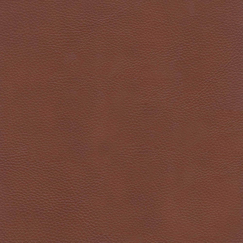 Aiden - Leather Chair - Brown