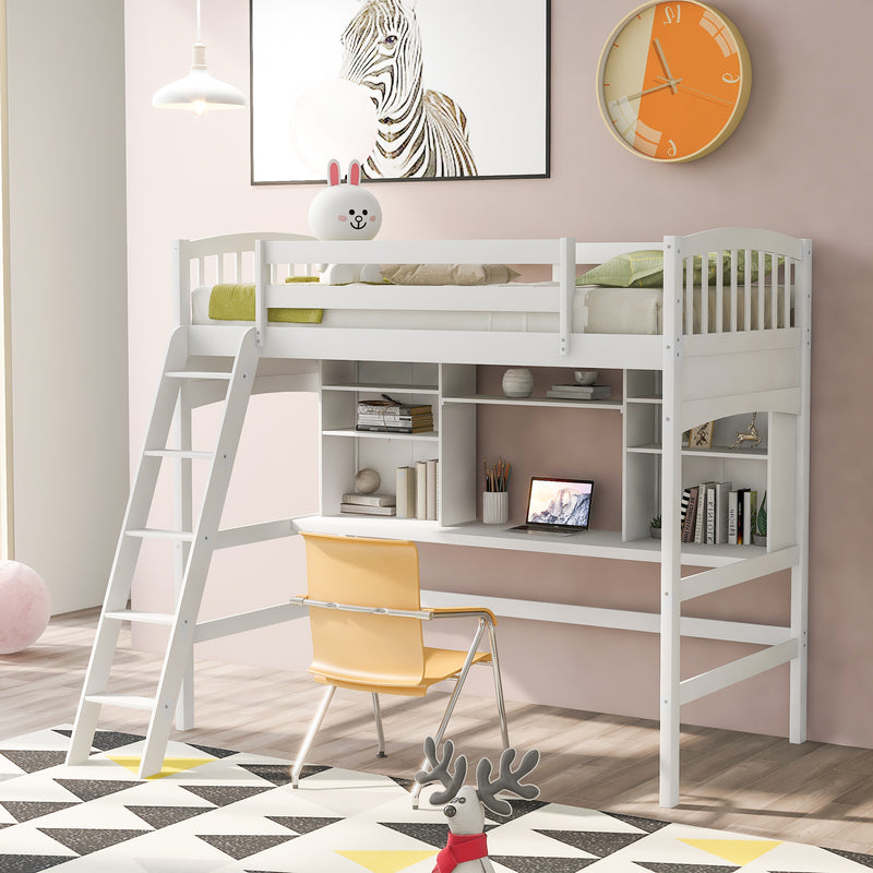 Twin size Loft Bed with Storage Shelves, Desk and Ladder, White(OLD SKU :LP000140KAA)