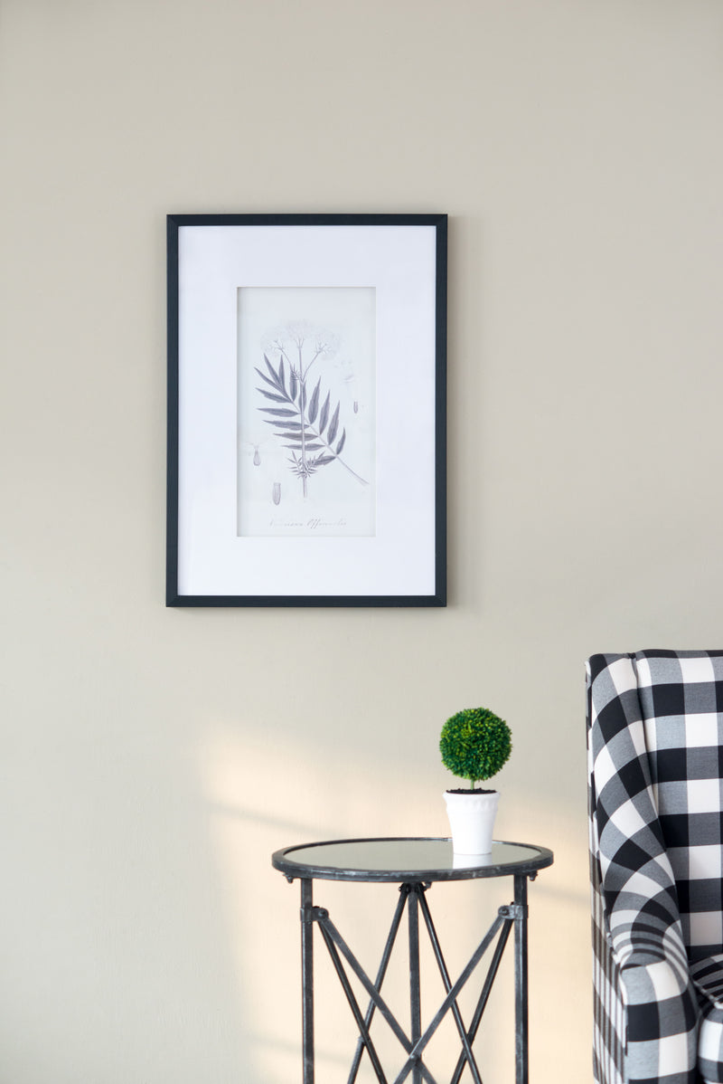 Botanical Wall Art Prints, Home Decor For Living Room, Dining Room, Bedroom, Hallway (Set of 4) - White / Black