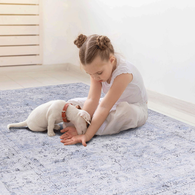 6' x 9' Area Rug, Washable Rug, Low-Pile, Non-Slip, Non-Shedding, Foldable, Kid & Pet Friendly Area Rugs For Living Room, Bedroom, Kitchen, Dining Room Rug, Perfect Gifts - Blue / Cream