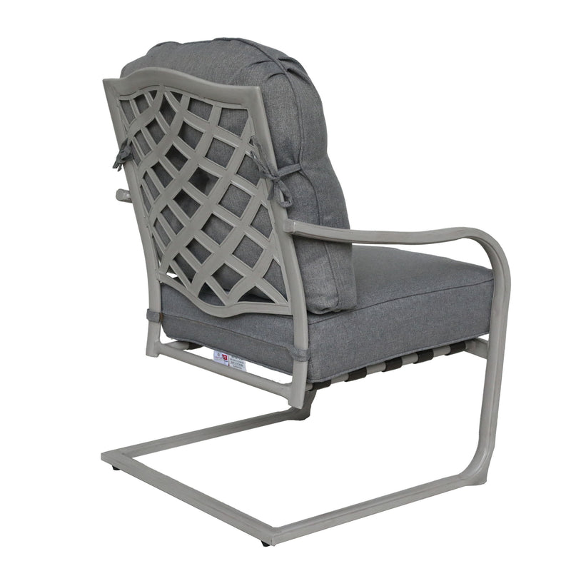 Outdoor Aluminum C Spring Chair (Set of 2) - Basalt