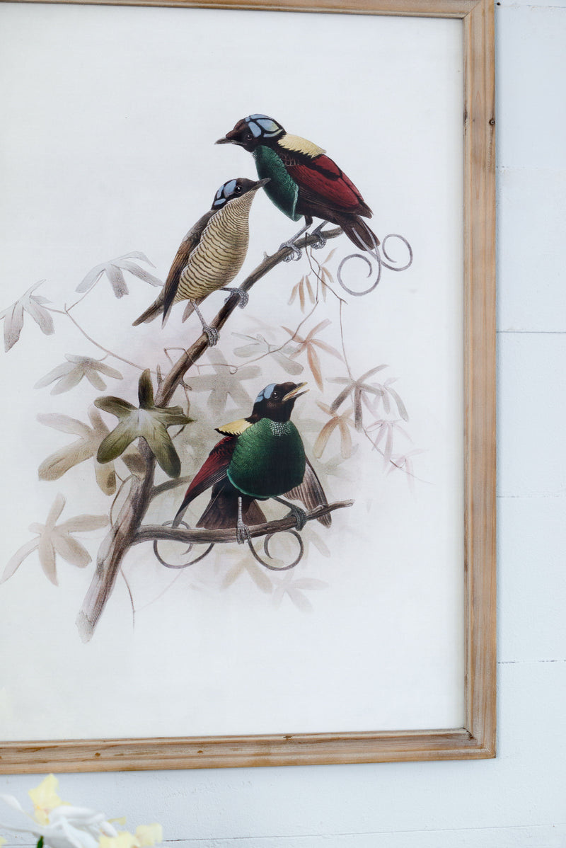 Bird Framed Print (Set of 2) - Multicolor