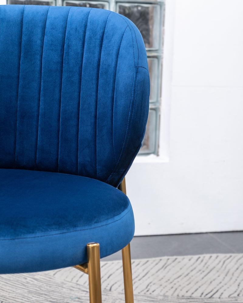 Amoa - Contemporary Velvet Upholstery Dining Chair - Blue