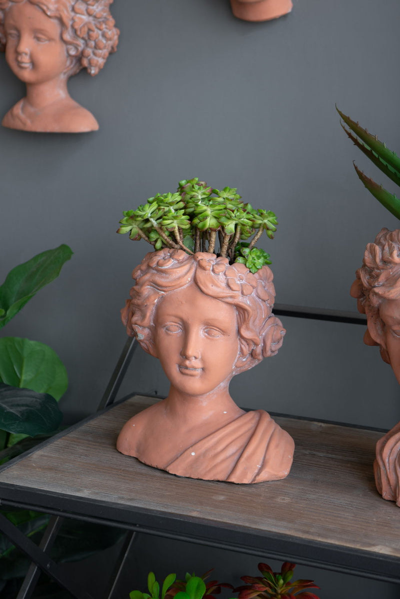 Head Bust Planter, Greek Style Cement Head Planter, Indoor Outdoor Home Garden Decor - Brown