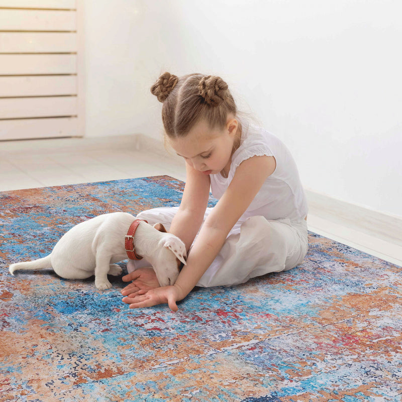 5' x 8' Area Rug For Living Room, Machine Washable Arearug, Low-Pile, Non-Slip, Non-Shedding, Foldable, Kid & Pet Friendly Area Rugs For Living Room, Bedroom, Kitchen, Dining Room - Multi