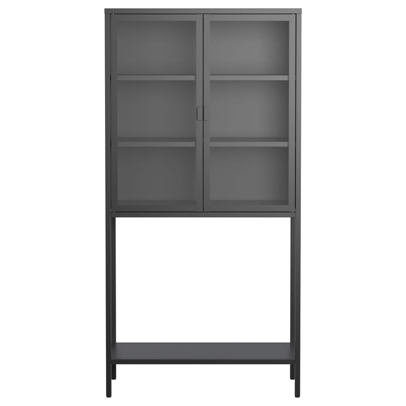 Heavy Duty Metal Storage Cabinet, Display Storage Cabinet With Glass Doors And 2 Adjustable Shelves, Tall Bookcase Modern Bookshelf Cabinet For Home Office, Living Room, Pantry