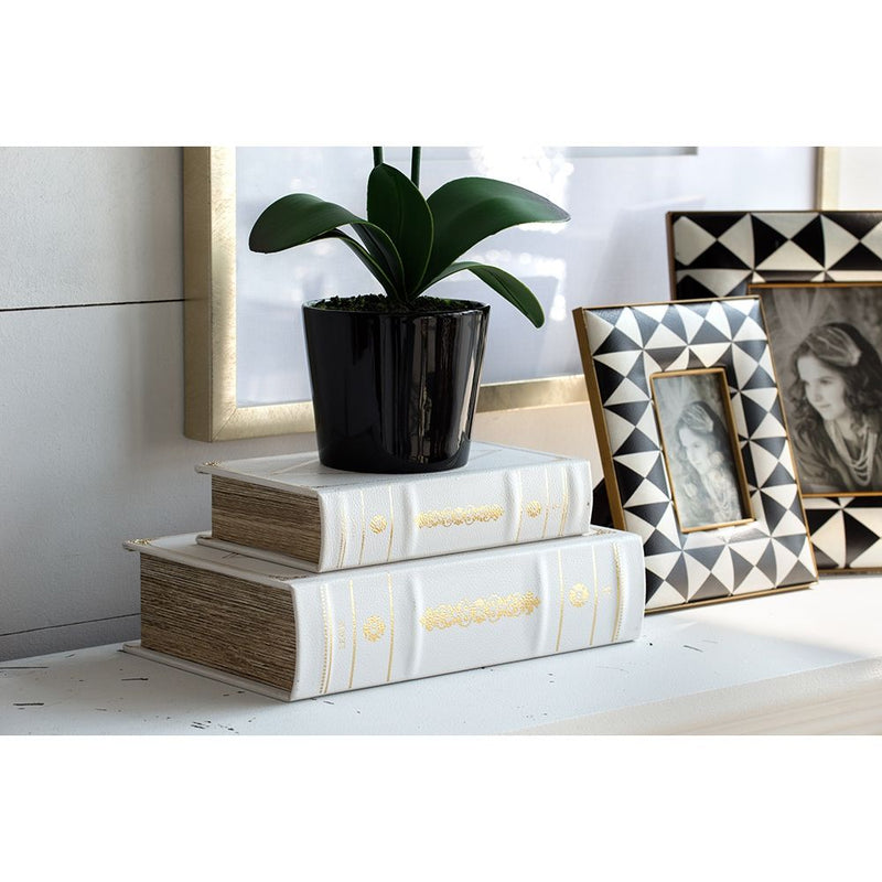 Book Boxes (Set of 2) - White / Gold