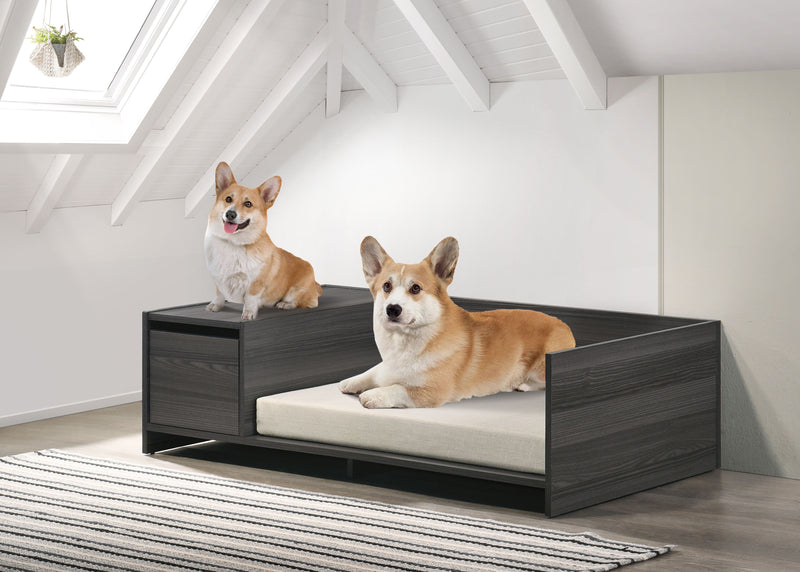 Esme - Wide Modern Comfy Pet Bed With Cushion And Side Storage Compartment - Ash Gray