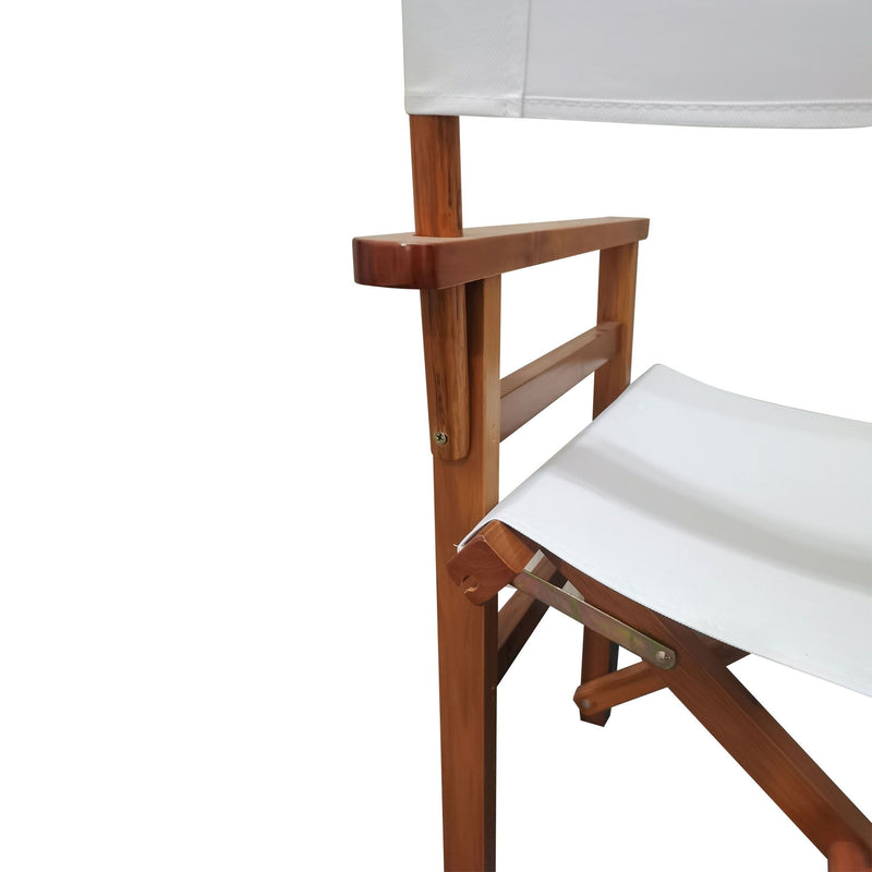 Folding Director Chair Canvas (Set of 2)