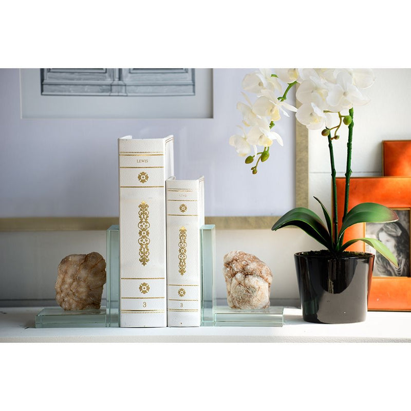 Book Boxes (Set of 2) - White / Gold