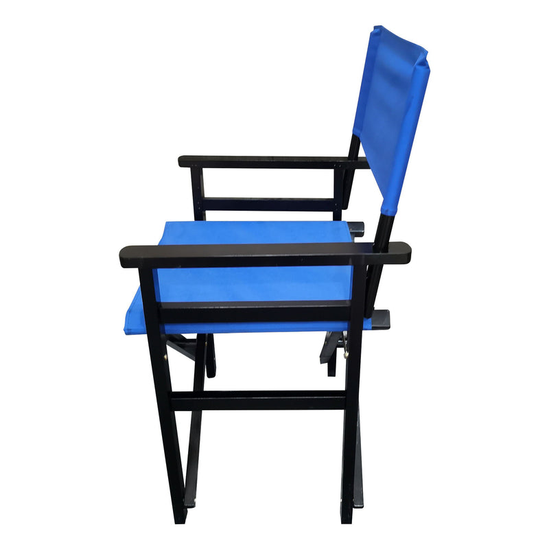 Folding Director Chair Canvas (Set of 2)