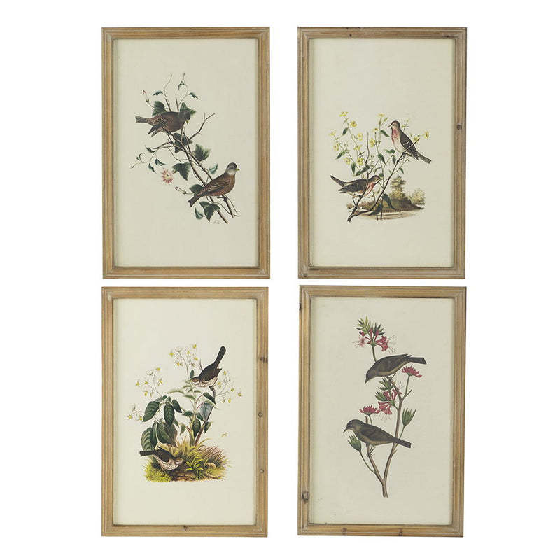 Bird Framed Print (Set of 4) - Multicolor